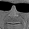 Profile picture of Darnibee