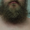 Profile picture of loggerbeard