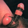 Profile picture of irishn
