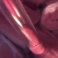 Profile picture of sl man pump