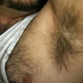 Profile picture of top bear