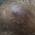 Profile picture of Wildbottombear
