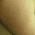 Profile picture of RobearBR