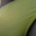 Profile picture of Sppumper
