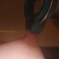 Profile picture of Northnipp