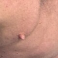 Profile picture of Steve