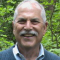 Profile picture of Papipinga