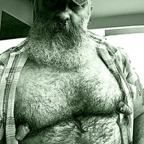 Hairy Nipple Bears. 